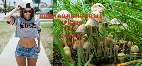 твердый Вязники