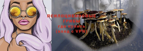 твердый Вязники