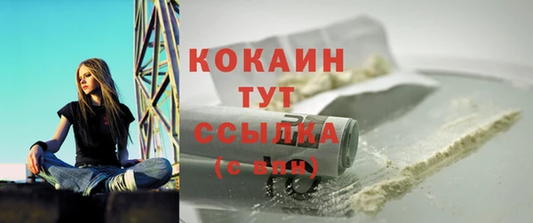индика Строитель